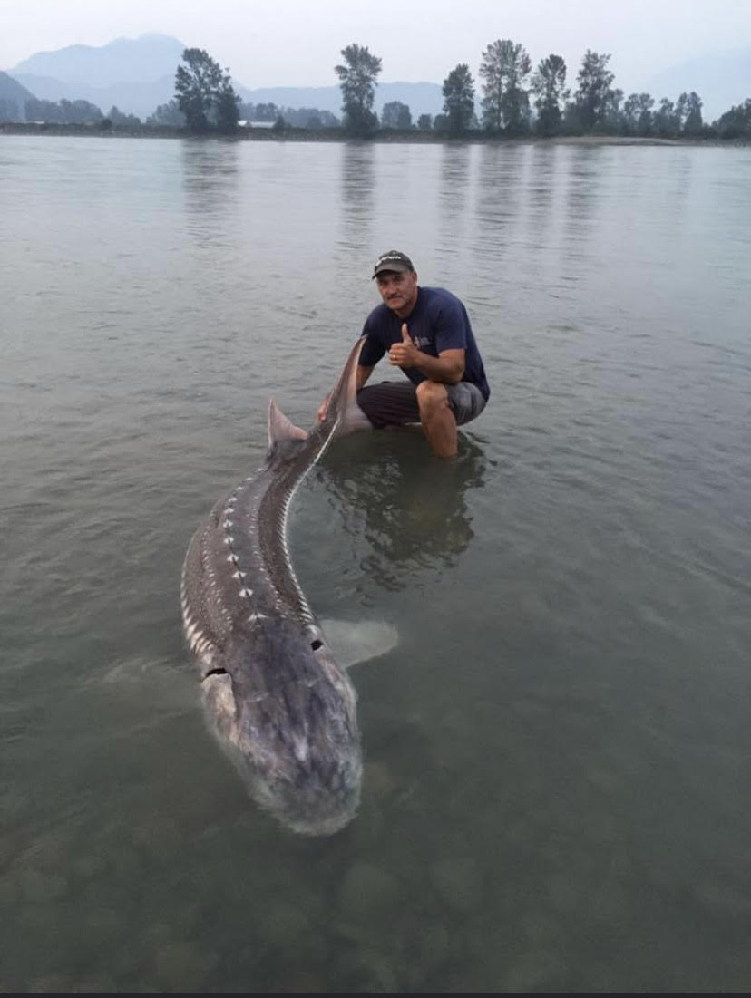 Sturgeon Fishing in Fraser River